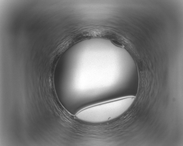 X0000059230313200510140833