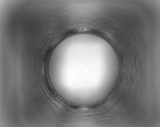 X0000059230315200510140833