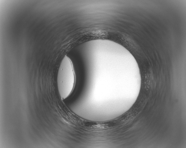 X0000059230320200510140833