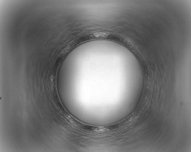 X0000059230321200510140833