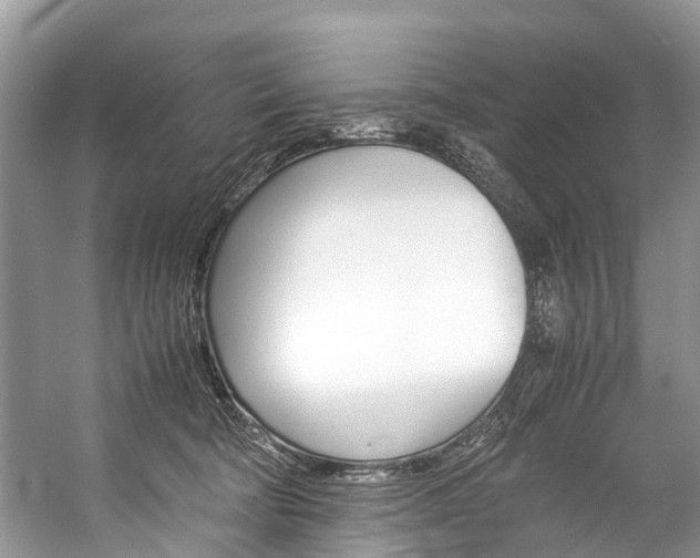 X0000059230322200510140833