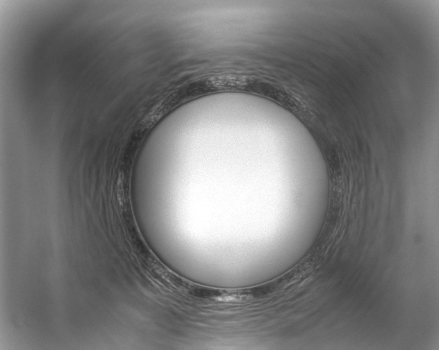 X0000059230323200510140833
