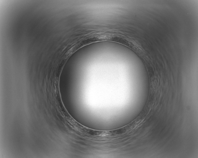 X0000059230325200510140833