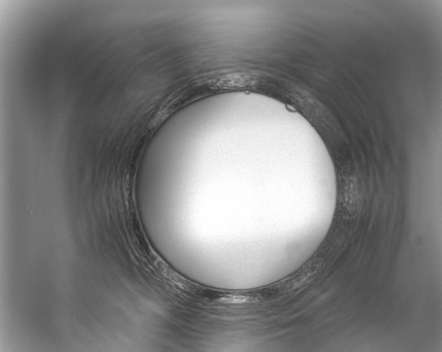 X0000059230326200510140833