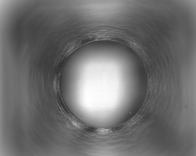 X0000059230333200510140833