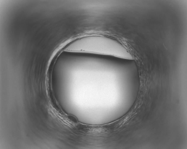 X0000059230342200510140832