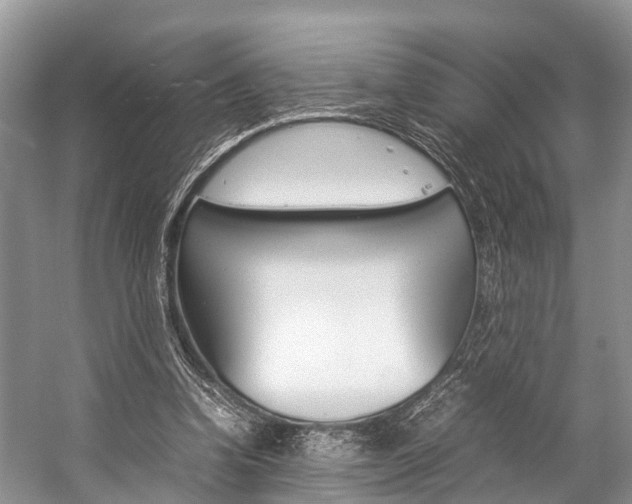 X0000059230346200510140832