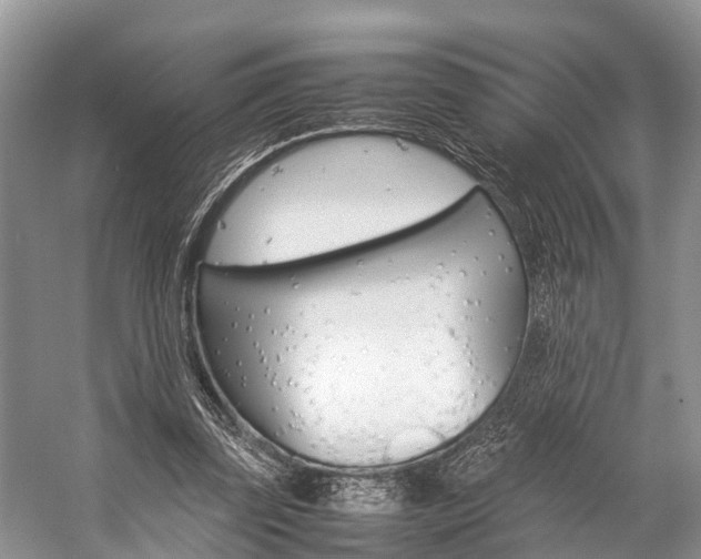 X0000059230347200510140832