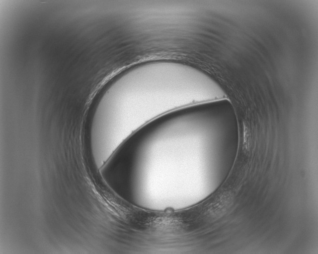 X0000059230348200510140832
