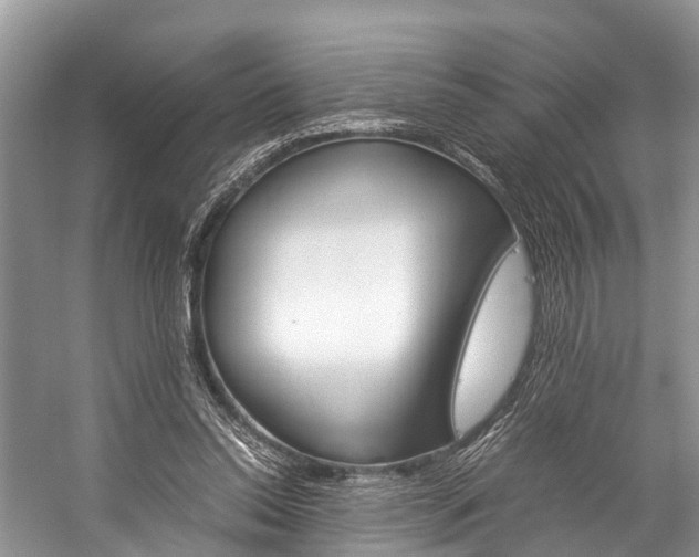 X0000059230350200510140832