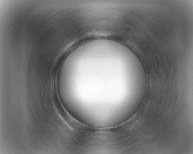 X0000059230352200510140832