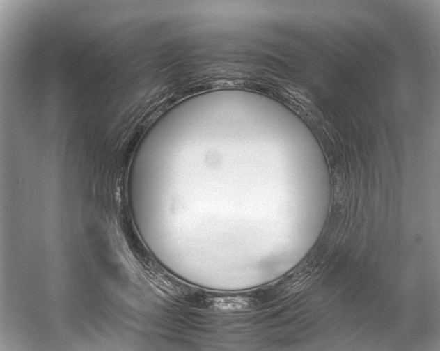 X0000059230363200510140833