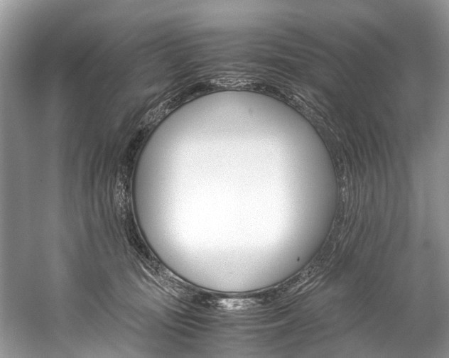 X0000059230371200510140833