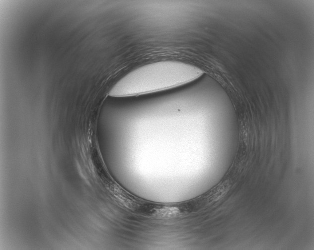 X0000059230374200510140833