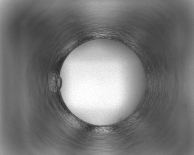 X0000059230378200510140833