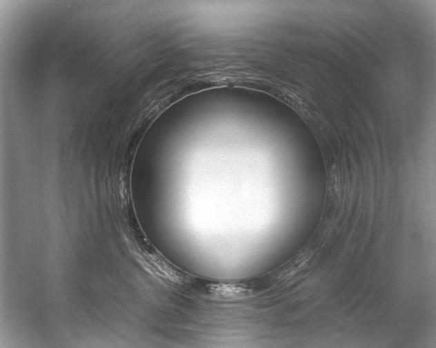 X0000059230380200510140833