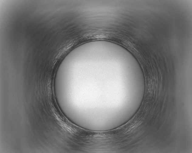 X0000059230394200510140832