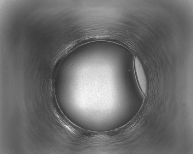 X0000059230397200510140832