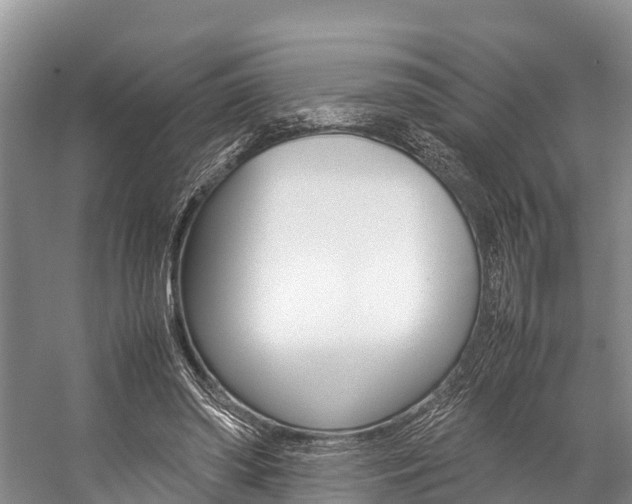 X0000059230398200510140832