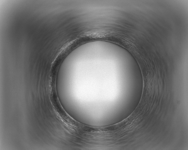 X0000059230400200510140832