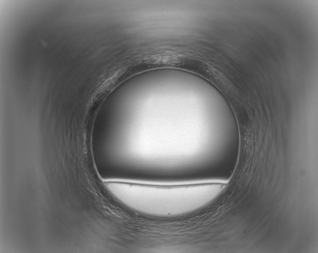 X0000059230403200510140832