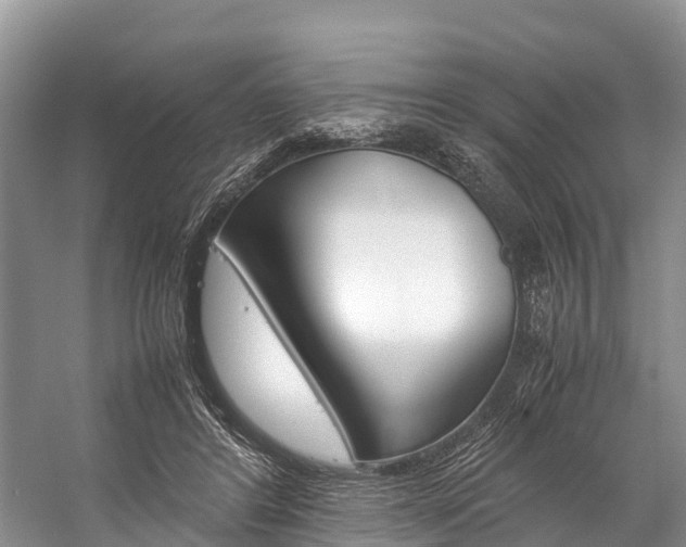 X0000059230404200510140832