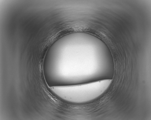 X0000059230405200510140832