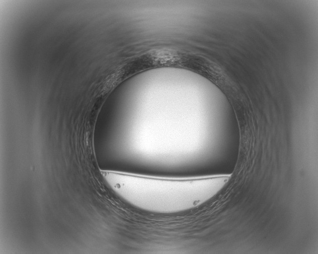 X0000059230417200510140832