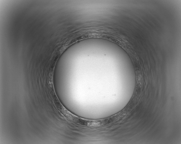 X0000059230419200510140831