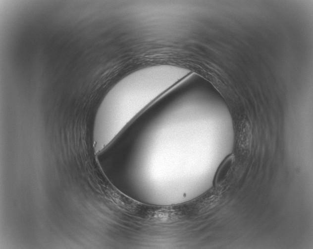 X0000059230420200510140831