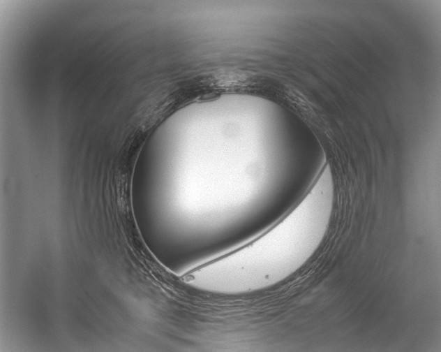 X0000059230421200510140831