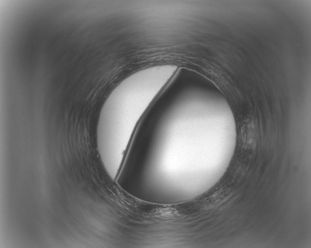 X0000059230424200510140831