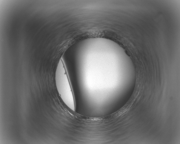 X0000059230432200510140831