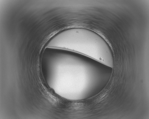 X0000059230437200510140830