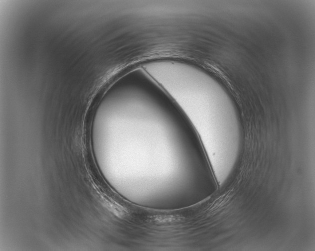 X0000059230439200510140831