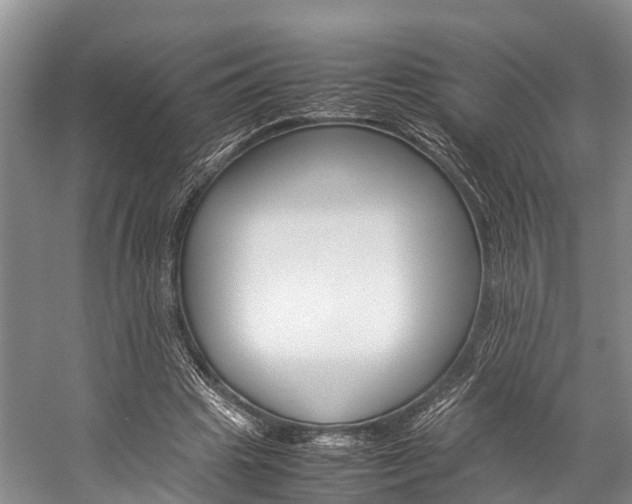X0000059230441200510140831