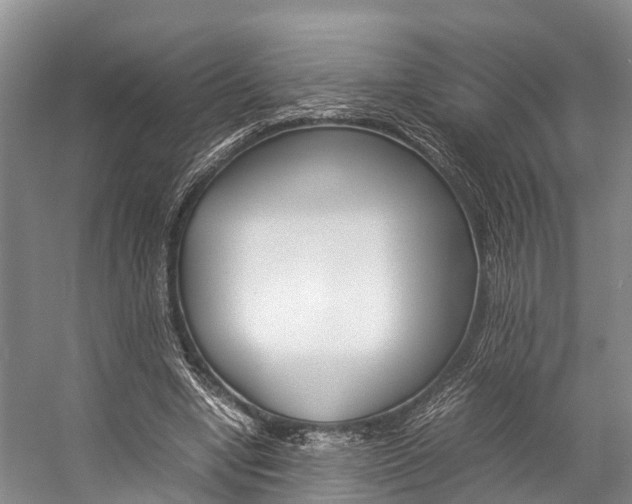 X0000059230442200510140831