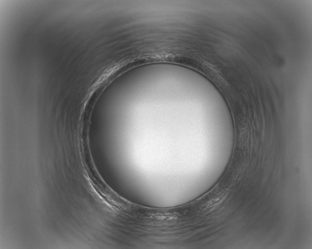 X0000059230443200510140831
