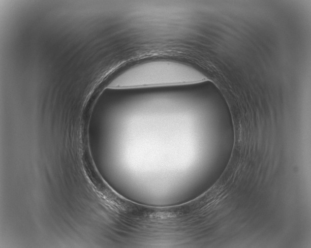 X0000059230444200510140831