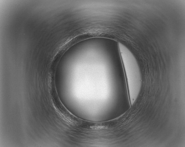 X0000059230448200510140831