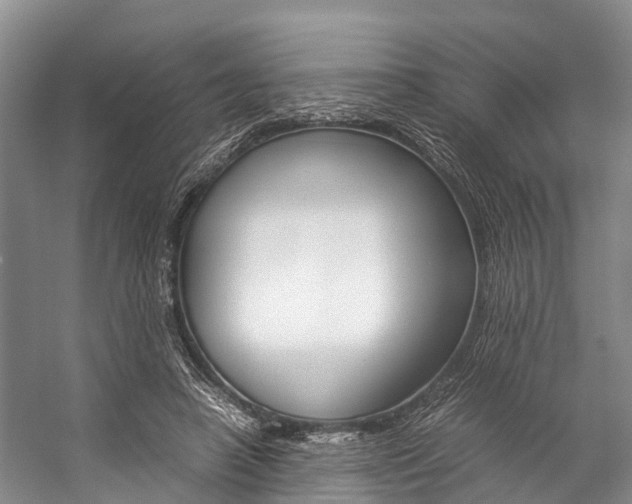 X0000059230450200510140831