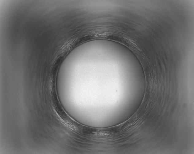 X0000059230451200510140831