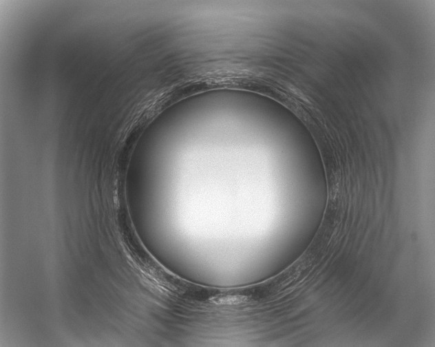 X0000059230452200510140831