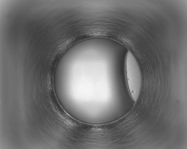 X0000059230453200510140831