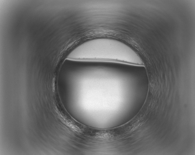 X0000059230454200510140831
