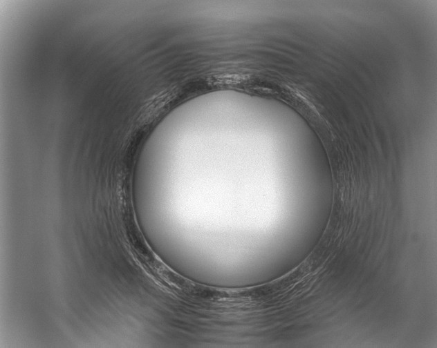 X0000059230455200510140831