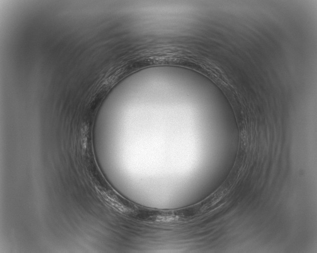 X0000059230458200510140831