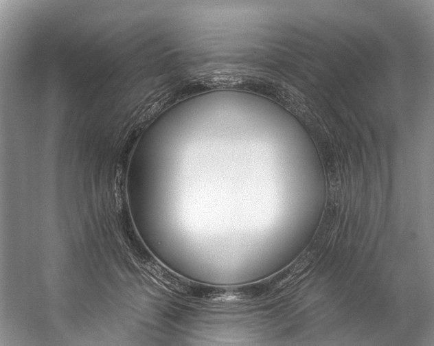 X0000059230460200510140831