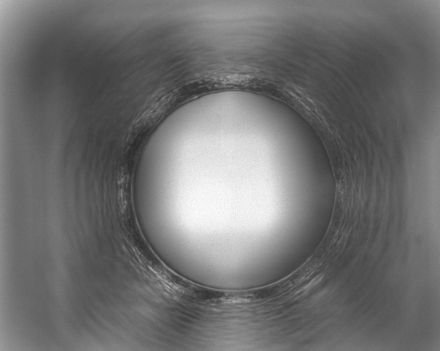 X0000059230462200510140831