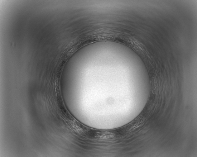 X0000059230463200510140831